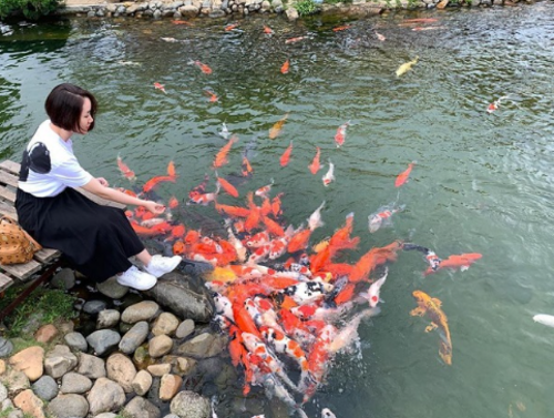 Hồ Koi Quán Cà Phê